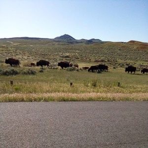 Meet your Posher, Syl